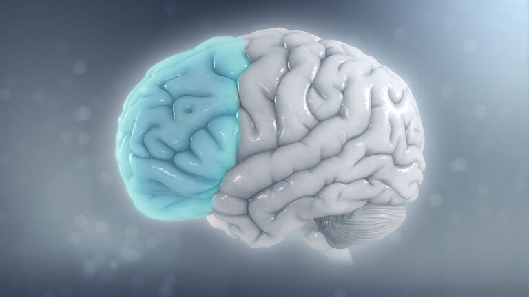 ADHD and Its Impact on Adults