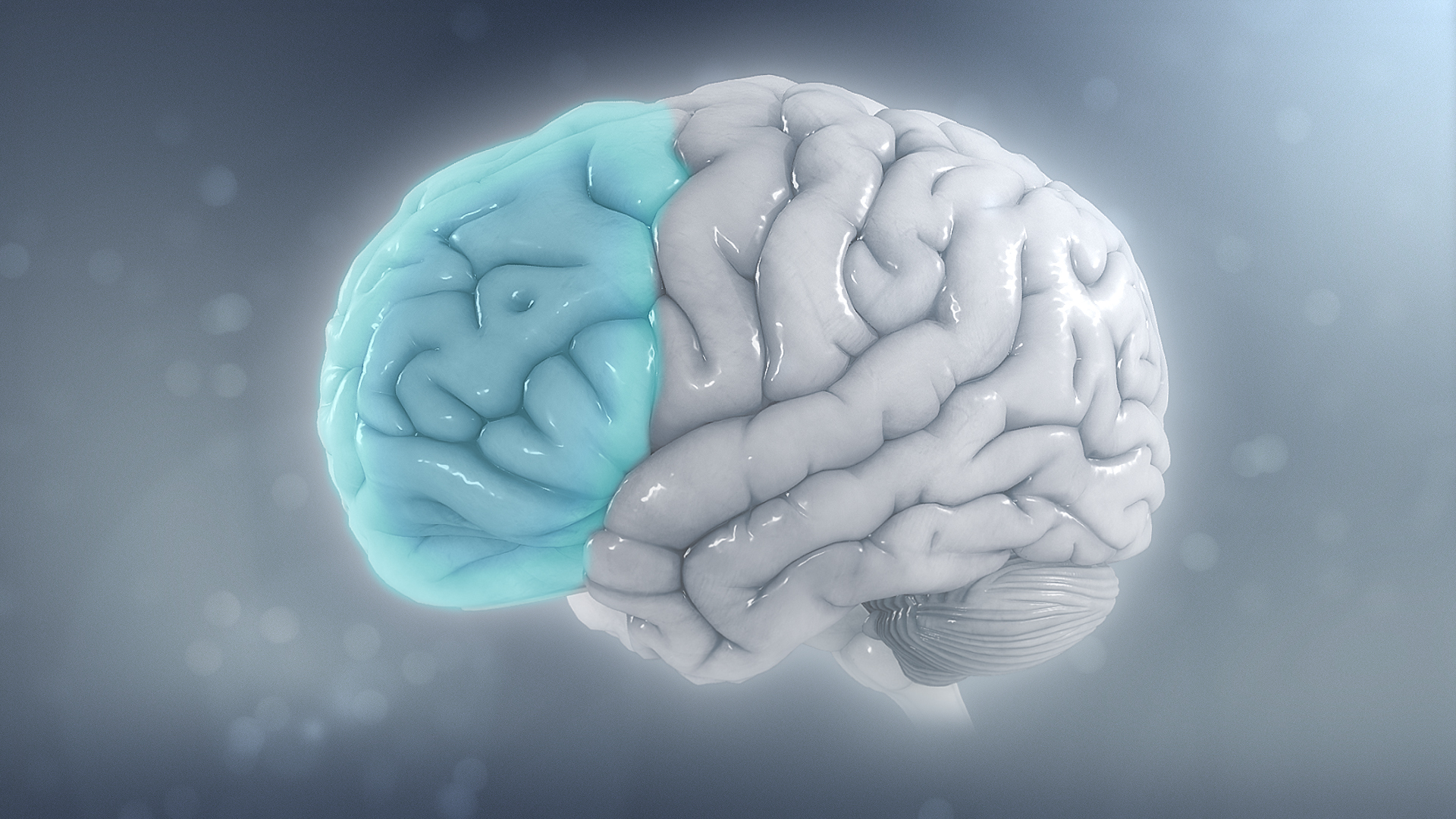 ADHD and Its Impact on Adults