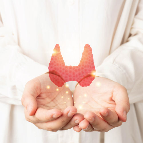 How Endocrinologists Diagnose and Treat Thyroid Disorders