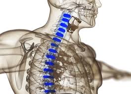 How Spine Doctors Diagnose and Treat Spinal Disorders