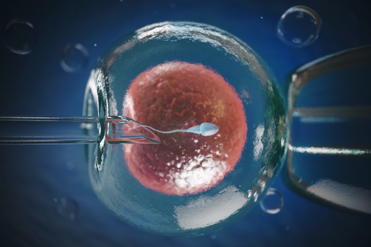 The Importance of Genetic Screening During IVF Treatment
