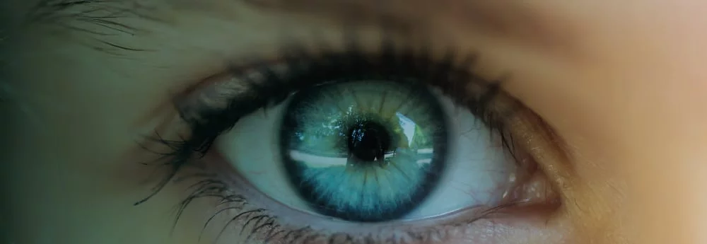 Common Eye Conditions Treated by Ophthalmologists