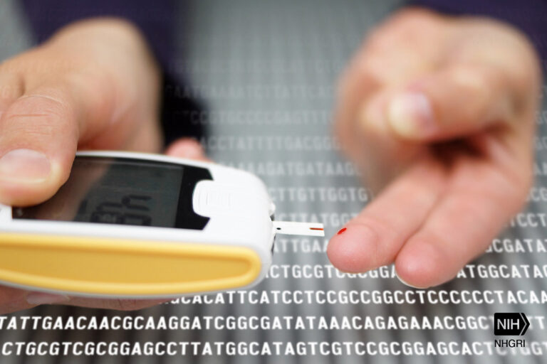 The History of Diabetes Research: Milestones and Breakthroughs