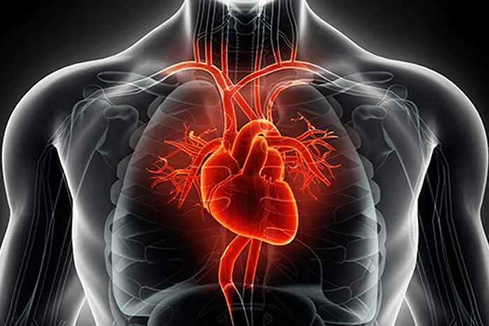 4 Common Cardiology Procedures