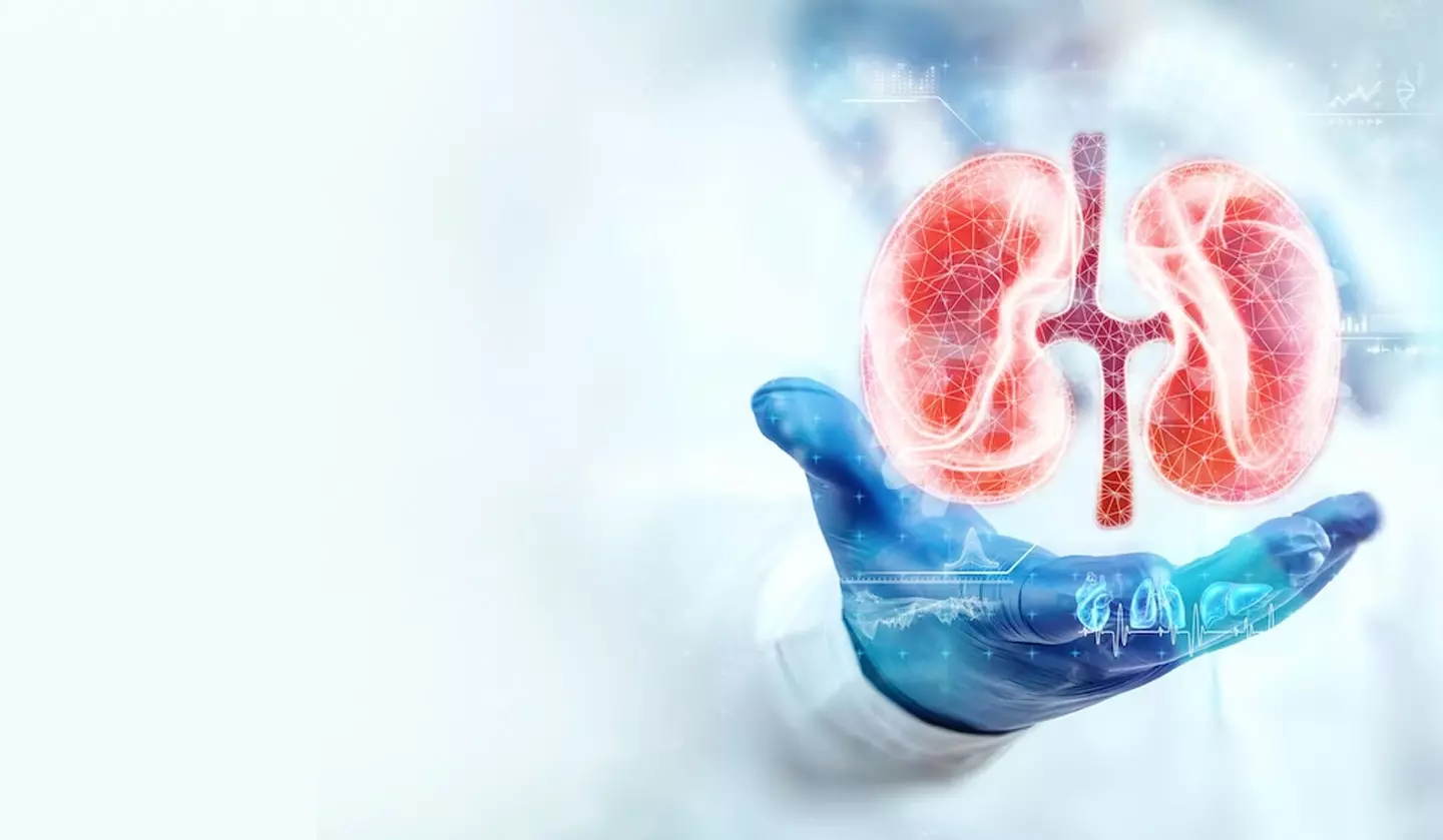 Tips on How To Prevent Kidney Stones